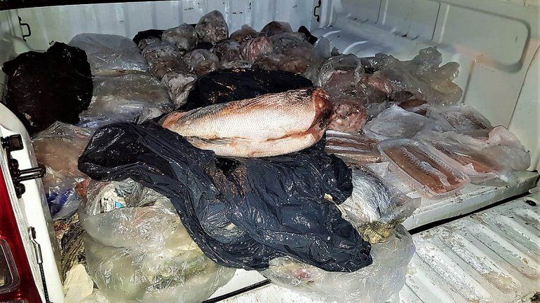 Decomisaron cargamentos de cítricos, carne y pescado ilegal