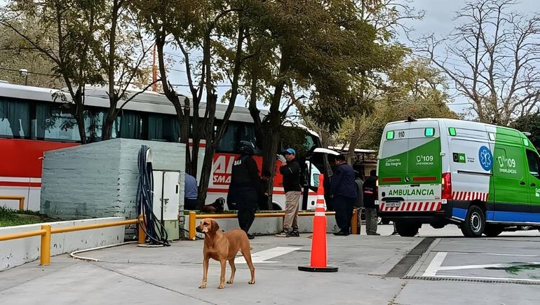 El hecho ocurrió en la zona céntrica de Catriel
