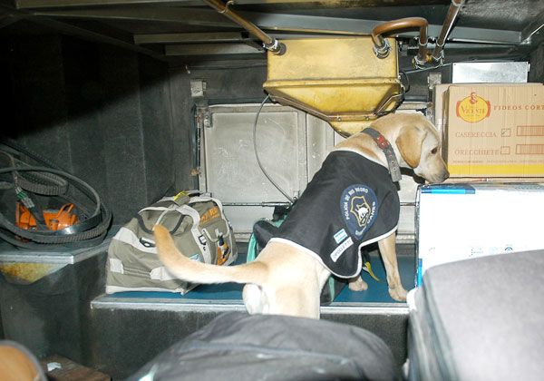 Secuestran camioneta que había sido robada en Merlo