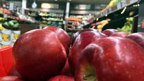 Es probable que Economía defina en los próximos días abrir las importaciones para las manzanas.