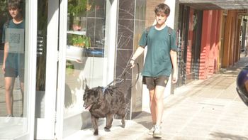 Ramiro por ahora pasea a su propia perra esperando clientes para poder costearse futuro viaje.