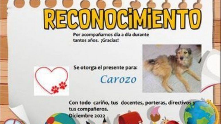 Carozo, el primer perro egresado de una escuela roquense