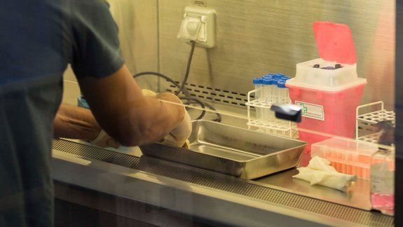 Ya son 48 las muertes de personas con coronavirus