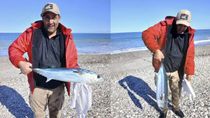 el pescador, un exotico pez y el divertido debate en las redes: ¿lo pesco o lo encontro?
