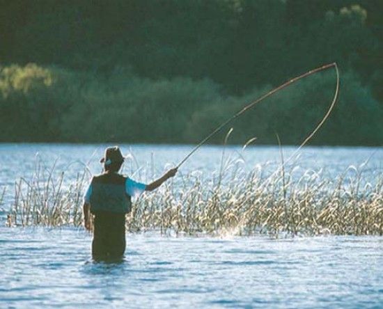 Fiesta Provincial de Pesca Deportiva