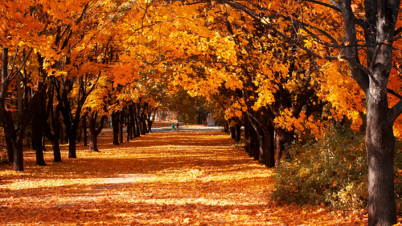 Cómo será el otoño 2026 en Argentina, según reveló el Servicio Meteorológico: las temperaturas y lluvias