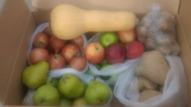 Senasa recordó a los turistas que en la Ptagonia los puestos sanitarios inspeccionan todos los ingresos.&nbsp;