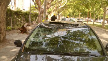 anticipan fuertes rafagas de viento en la region: piden precaucion