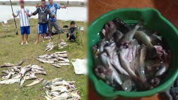 escrachan a pescadores furtivos que exhiben mas de 200 percas
