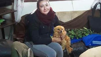 la increible historia de la perrita rionegrina que conmovio al pais