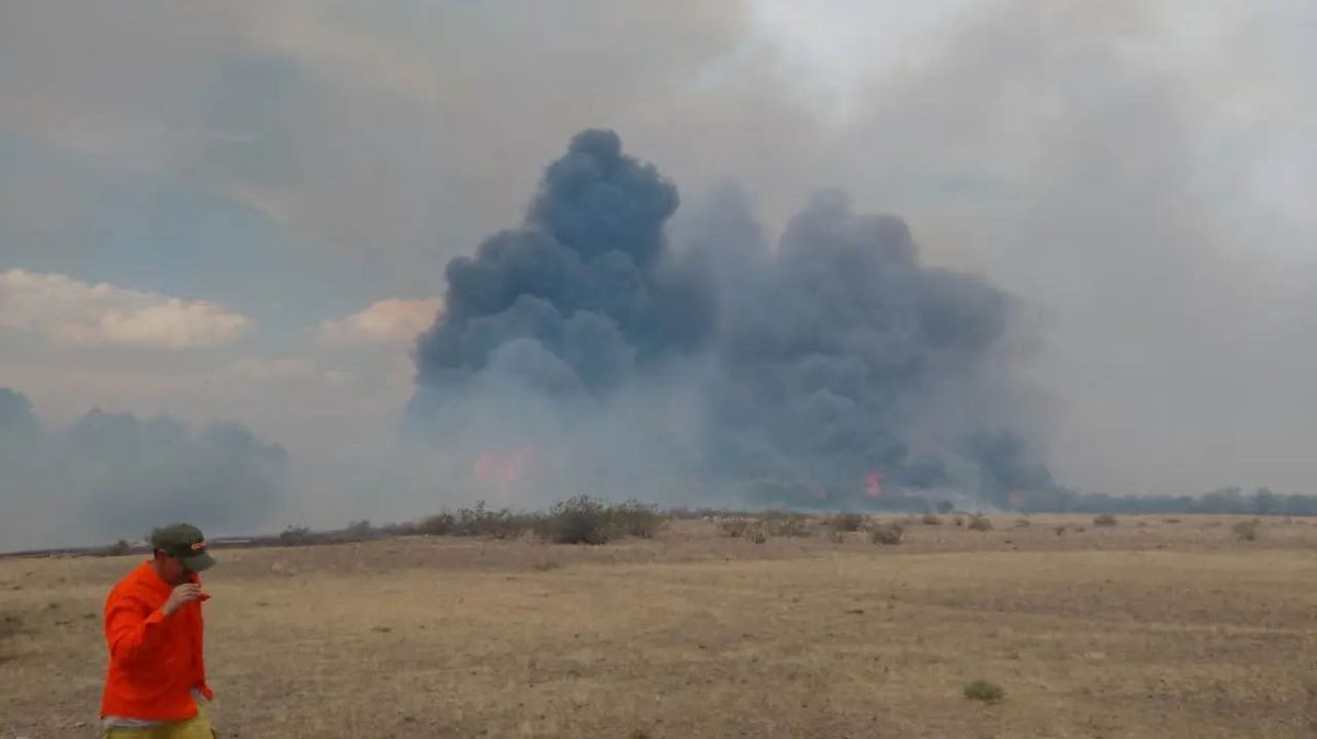 Más de 1.800 hectáreas de campo y chacras ardieron en Monte Bagual, un paraje rural ubicado a 70 kilómetros de Viedma.&nbsp;