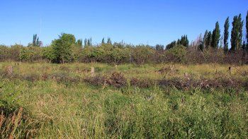 un banco de tierras con rigurosos requisitos un banco de tierras con rigurosos requisitos