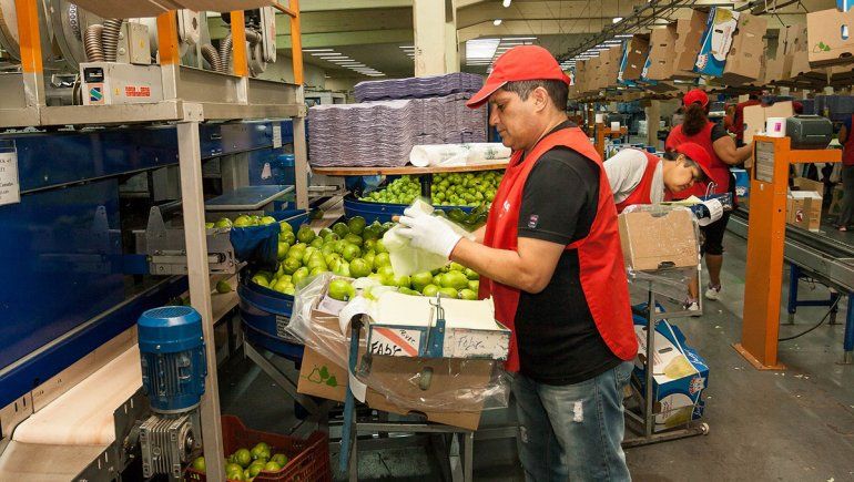 El efecto sobre la fruticultura puede ser muy grave