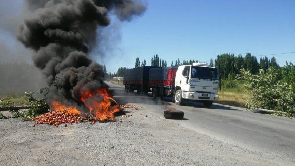 Los chacareros tiraron frutales y prendieron fuego cubiertas y manzanas en la Secretaría de Fruticultura.