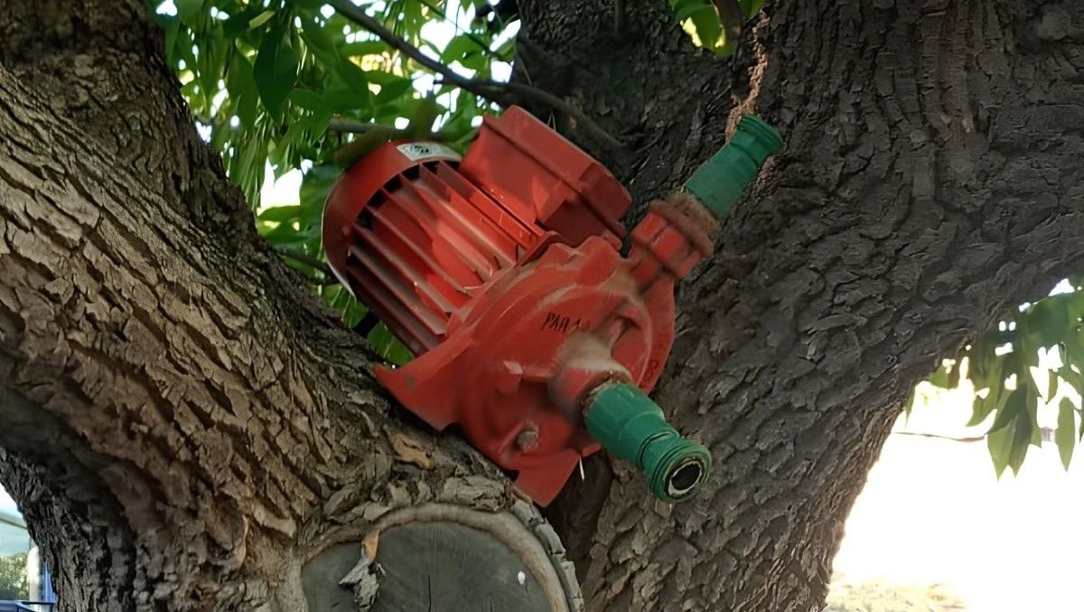 Robaron una bomba de agua y la escondieron arriba de un árbol