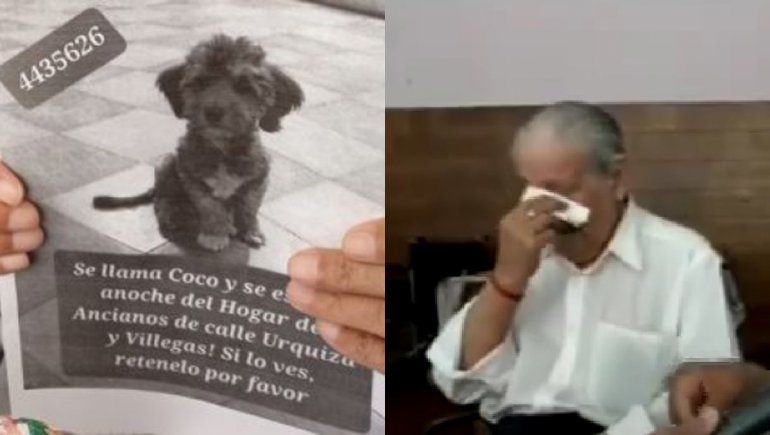 Encontraron a Coco, el perrito buscado por abuelos de una residencia