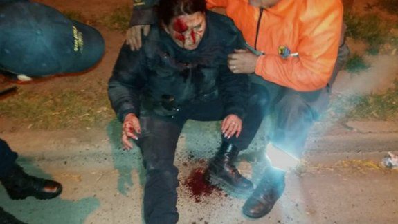 Borracha