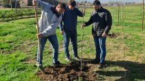 El intendente de Cipolletti ayudó en la plantación de árboles.
