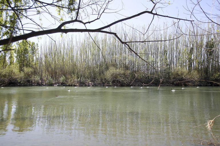 ¿La caída del camión afecta la planta de agua potable?