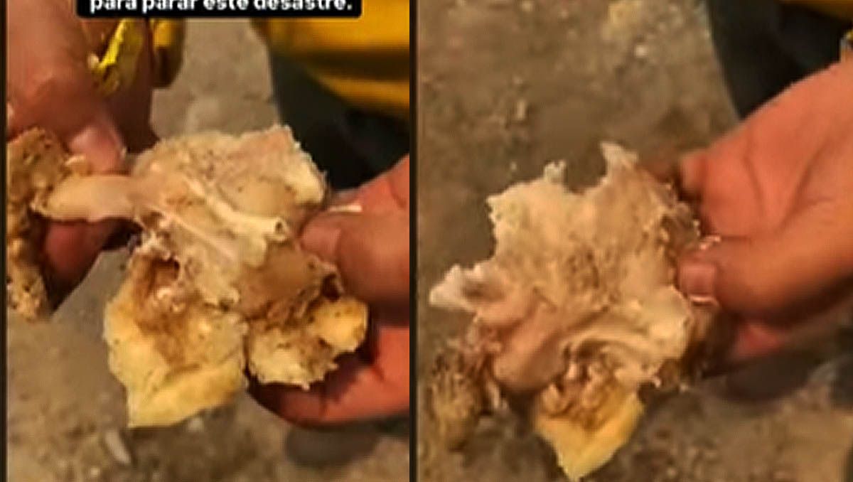 Pollo crudo: la comida para los brigadistas que combaten los incendios