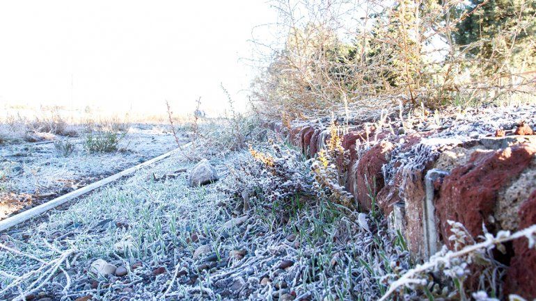 Cómo estará el tiempo el Día del Padre: arrancó con niebla