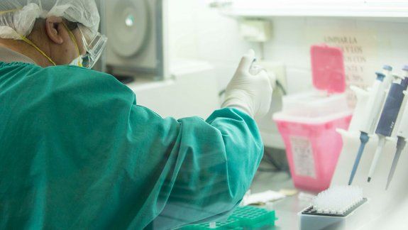 Solo el 15% de los casos sospechosos son positivos