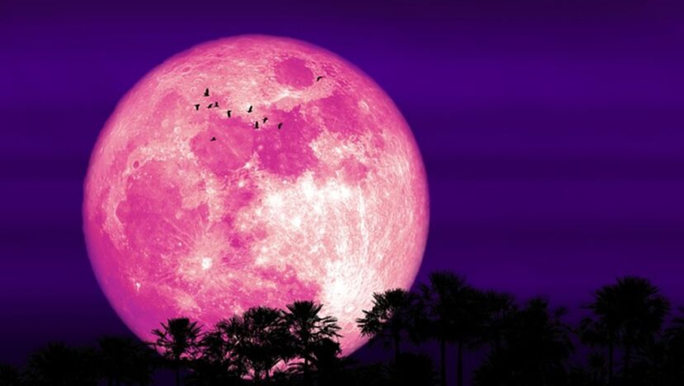Se viene la Luna llena Rosa: cuándo se podrá ver y cuál es el origen de su nombre