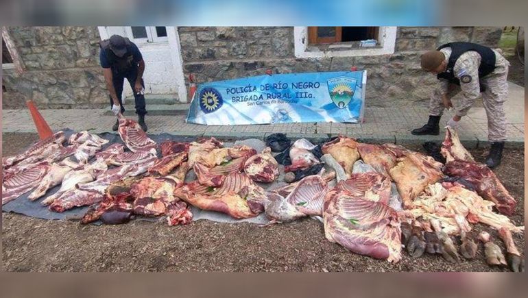 Decomisaron 1500 kilos de carne en cuatro operativos