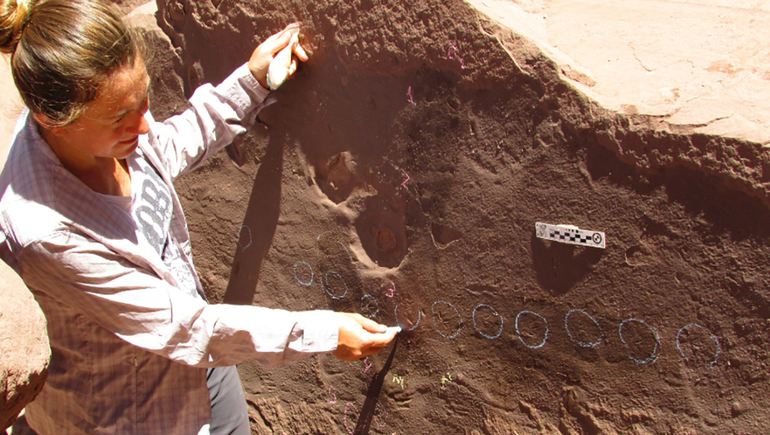 La Rioja: hallaron una nueva fauna prehistórica