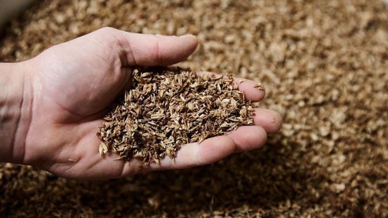 Río Negro: Desarrollan alimentos a partir de subproductos de cerveza