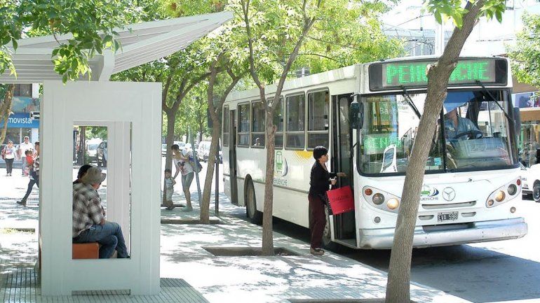 La empresa quiere una suba de tarifa: le planteó al Ejecutivo que el servicio no es redituable.