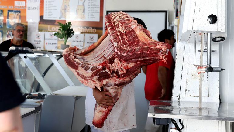 La carne con hueso podrá ingresar a la Patagonia