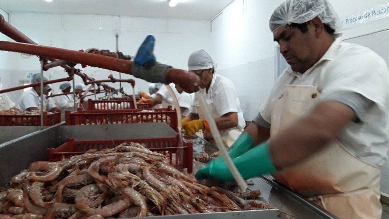 Se invirtieron $2 millones para recuperar la planta de SAO.