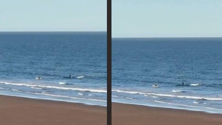 Un hombre navegaba en kayak en la costa de Río Negro y una orca se le fue encima.