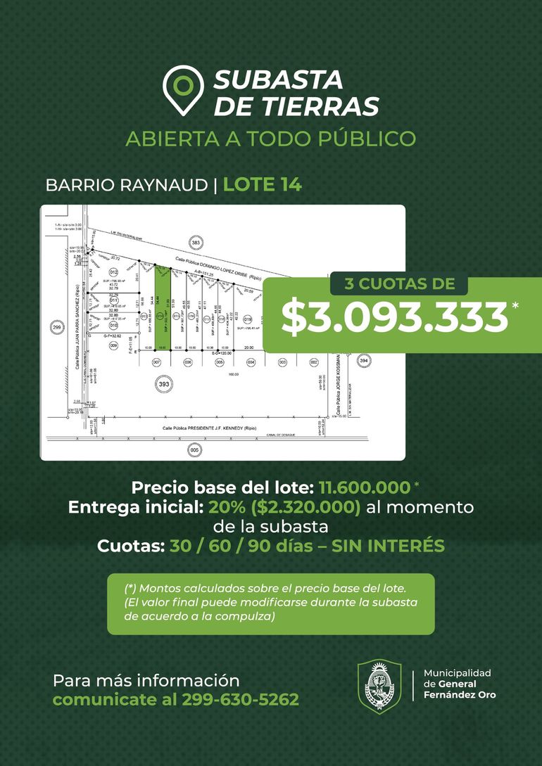 Los terrenos subastados están ubicados en el barrio Raynaud. 