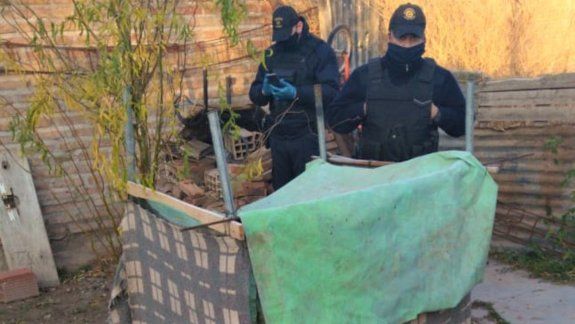 Buscaban armas y encontraron un mini vivero de marihuana