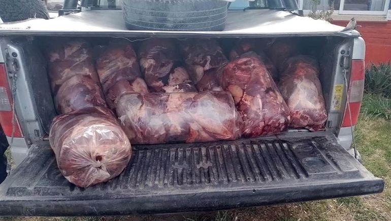 Decomisaron 500 kilos de carne que iban escondidos en una camioneta