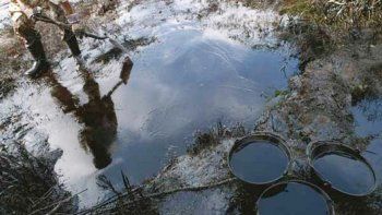 Estiman que se necesitarán cuatro camiones para retirar el petróleo.