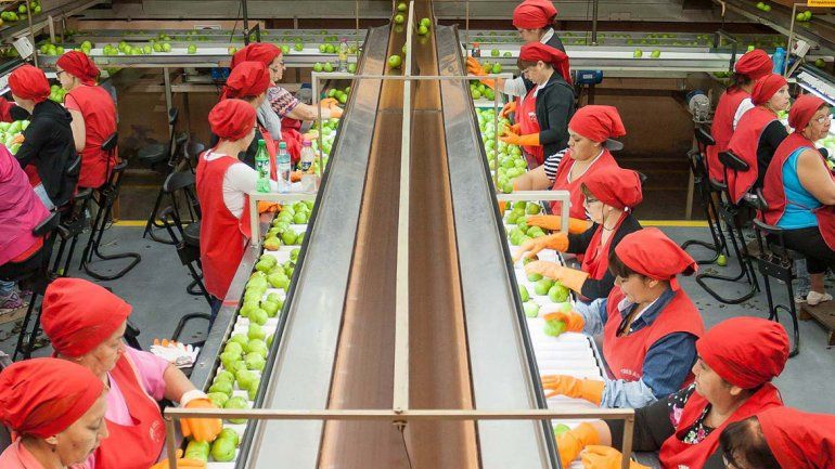 Durante todo el año hubo galpones que anunciaron el cierre de actividades