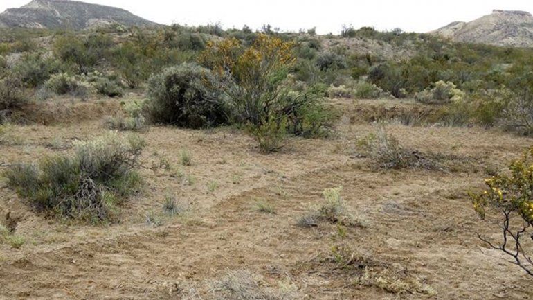 Expectativas por dar al cerro Azul protección del Estado