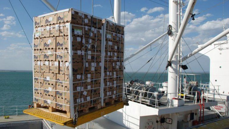 El Gobierno Nacional redujo los reintegros a las exportaciones de peras y manzanas