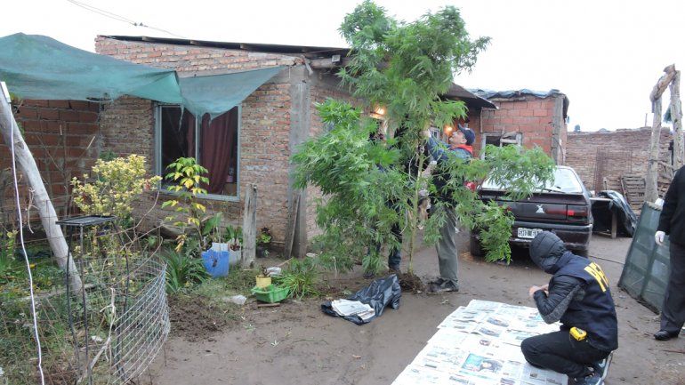 Con palas y bolsas