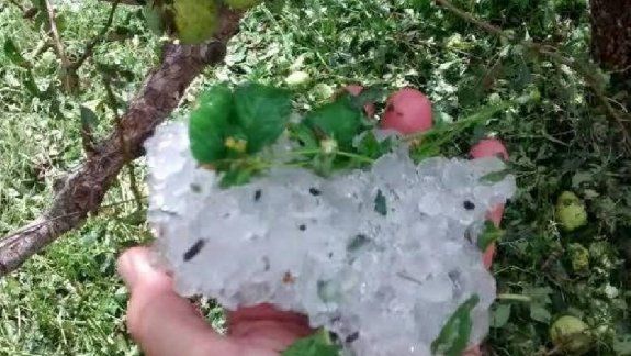 Seguro contra granizo: pagan la quinta cuota 