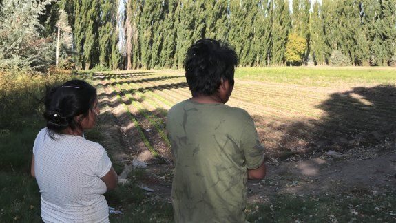 El alto costo en las chacras disparó el éxodo boliviano