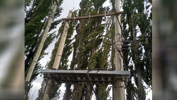 los robos de cables y transformadores llegan a la zona urbana
