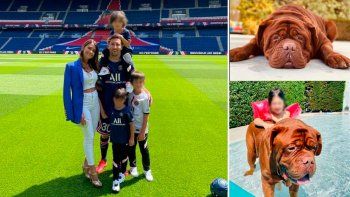 messi, antonela y sus hijos, en un tierno reencuentro con sus perros