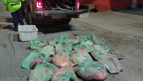 Faena clandestina: decomisarón 120 kilos de carne 
