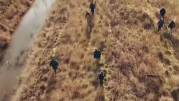 para berni, el cuerpo hallado tiene la misma contextura que facundo