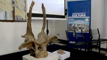presentaron el dinosaurio mas antiguo de neuquen