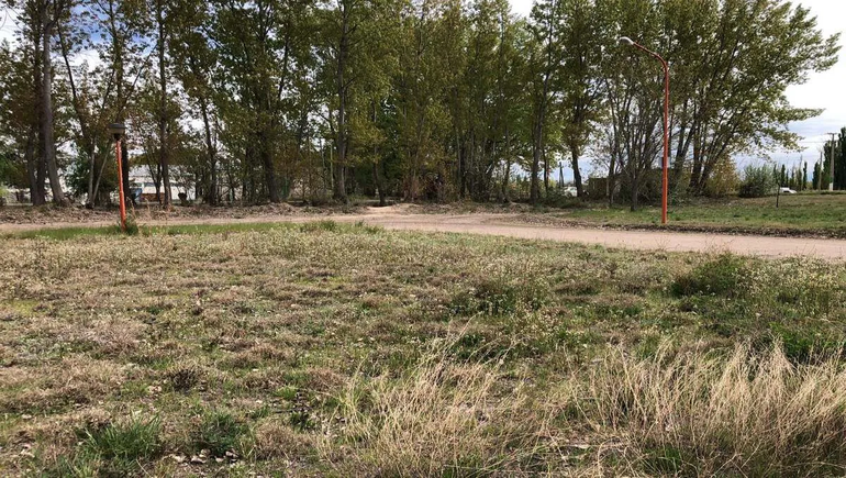 Se viene una interesante subasta en Fernández Oro.